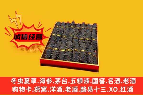 色尼区回收海参